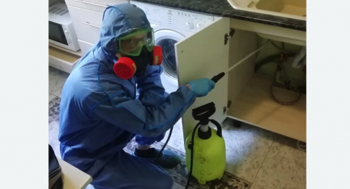 Уничтожение муравьев в квартире. Южнопортовый район 