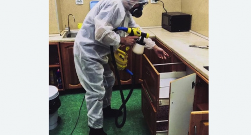 Уничтожение насекомых в квартире. Южнопортовый район 