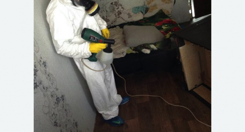 Обработка квартир от насекомых в Южнопортовом районе Москвы