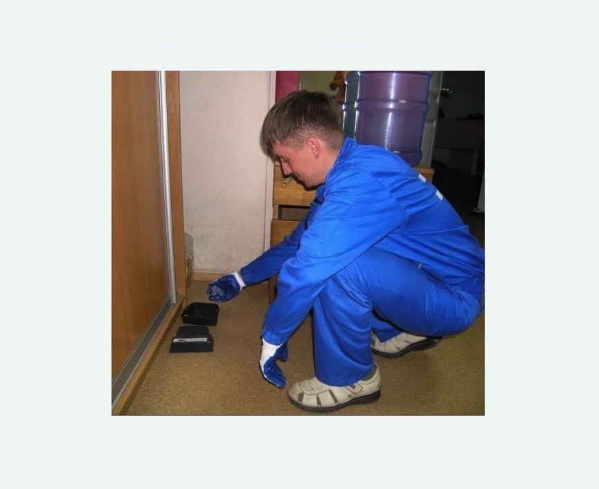 Дератизация крыс в Южнопортовом районе Москвы