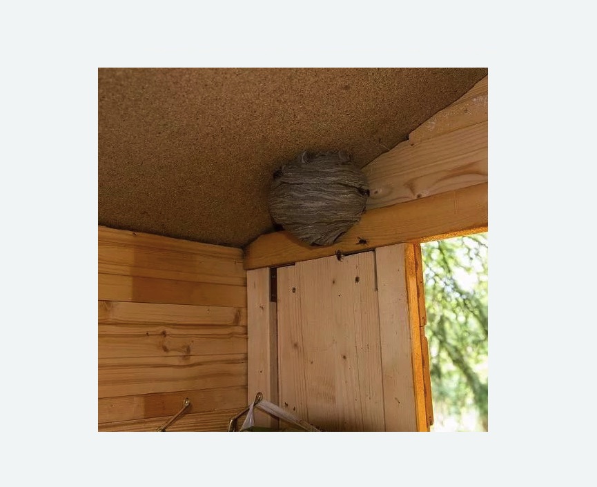 Обработка от ос в Южнопортовом районе Москвы Обработка от ос