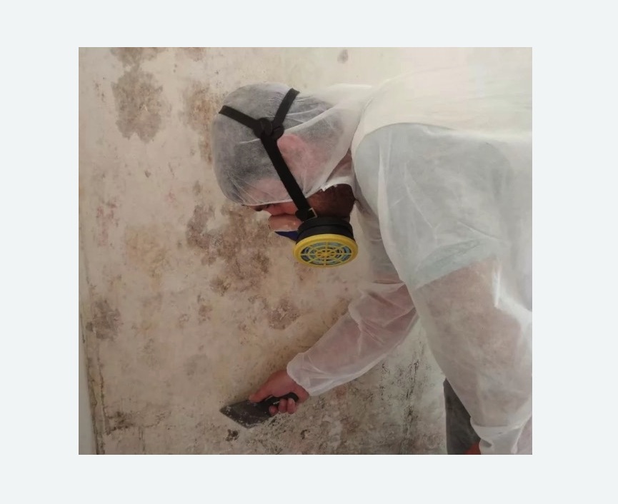 Обработка стен от плесени в Южнопортовом районе Москвы