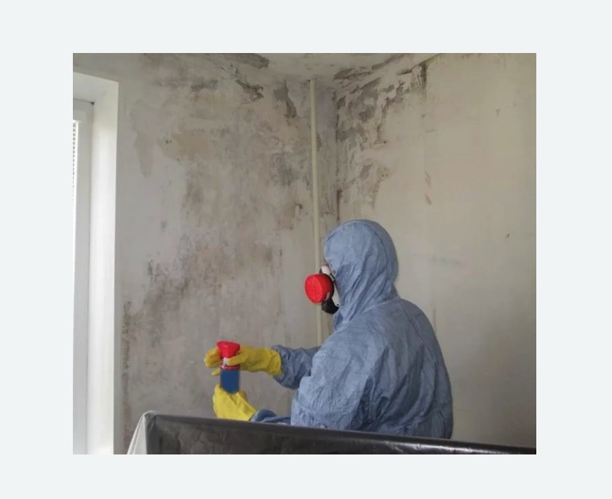 Удаление плесени в квартире в Южнопортовом районе Москвы