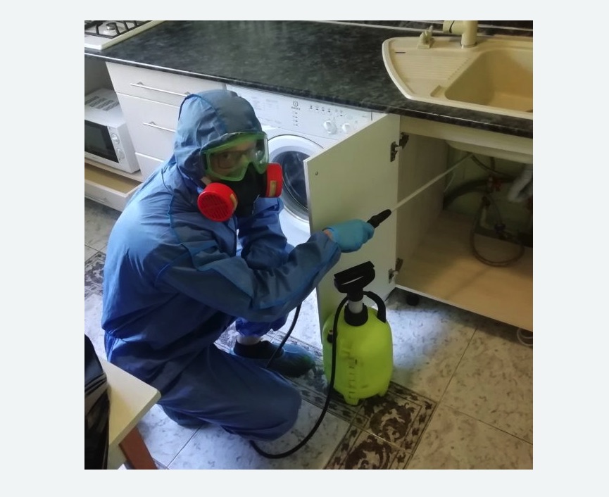 обработка от муравьев в квартире обработка от муравьев в квартире в Южнопортовом районе Москвы