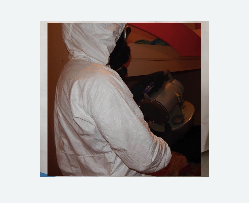 Дезинфекция от муравьев Дезинфекция от муравьев в Южнопортовом районе Москвы